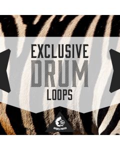 Exclusive Drum Loops