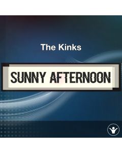 Sunny Afternoon - The Kinks - Acapella Cover