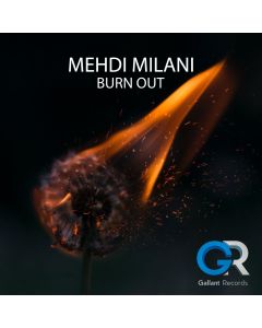 Mehdi Milani - Burn Out - Fl Studio 20.8 Template