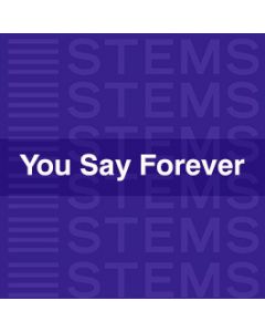 Audio Stems - You Say Forever